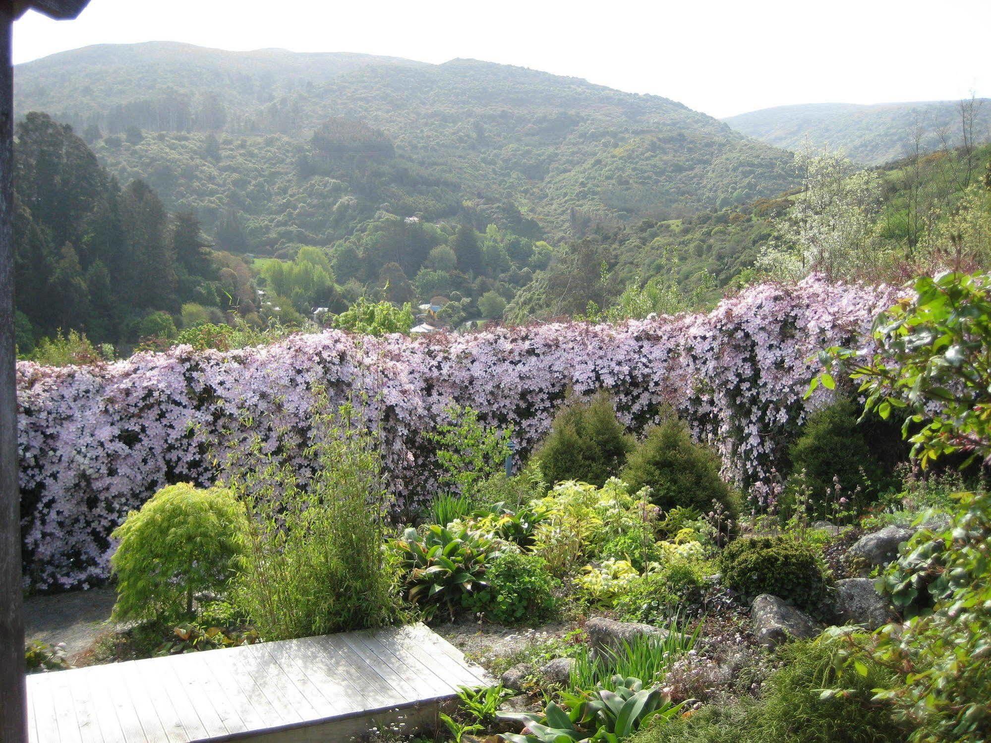 Leithview B And B Bed & Breakfast Dunedin Exterior photo