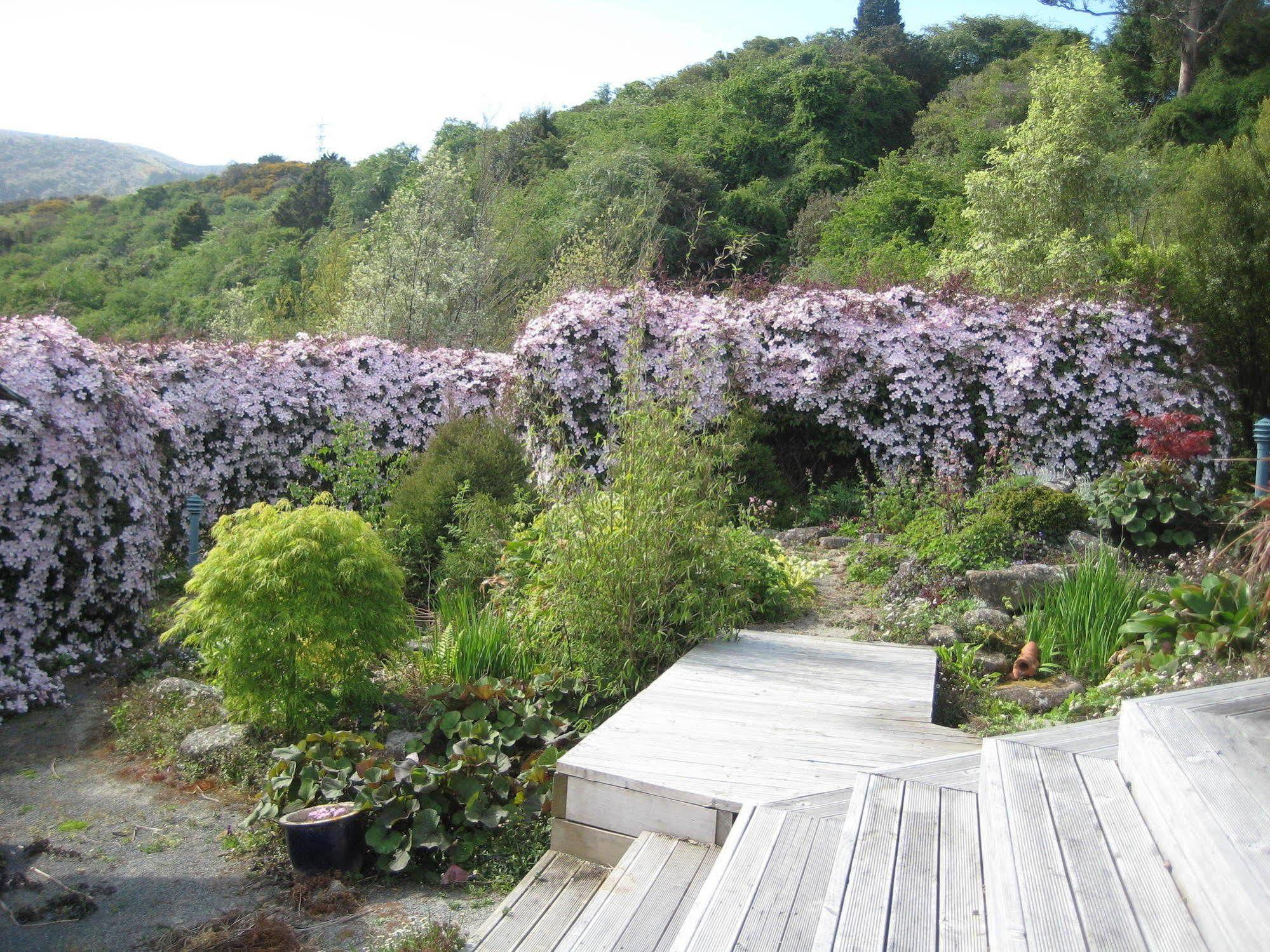 Leithview B And B Bed & Breakfast Dunedin Exterior photo