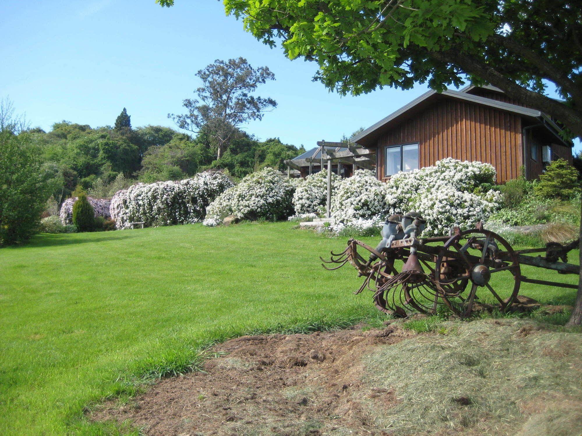 Leithview B And B Bed & Breakfast Dunedin Exterior photo