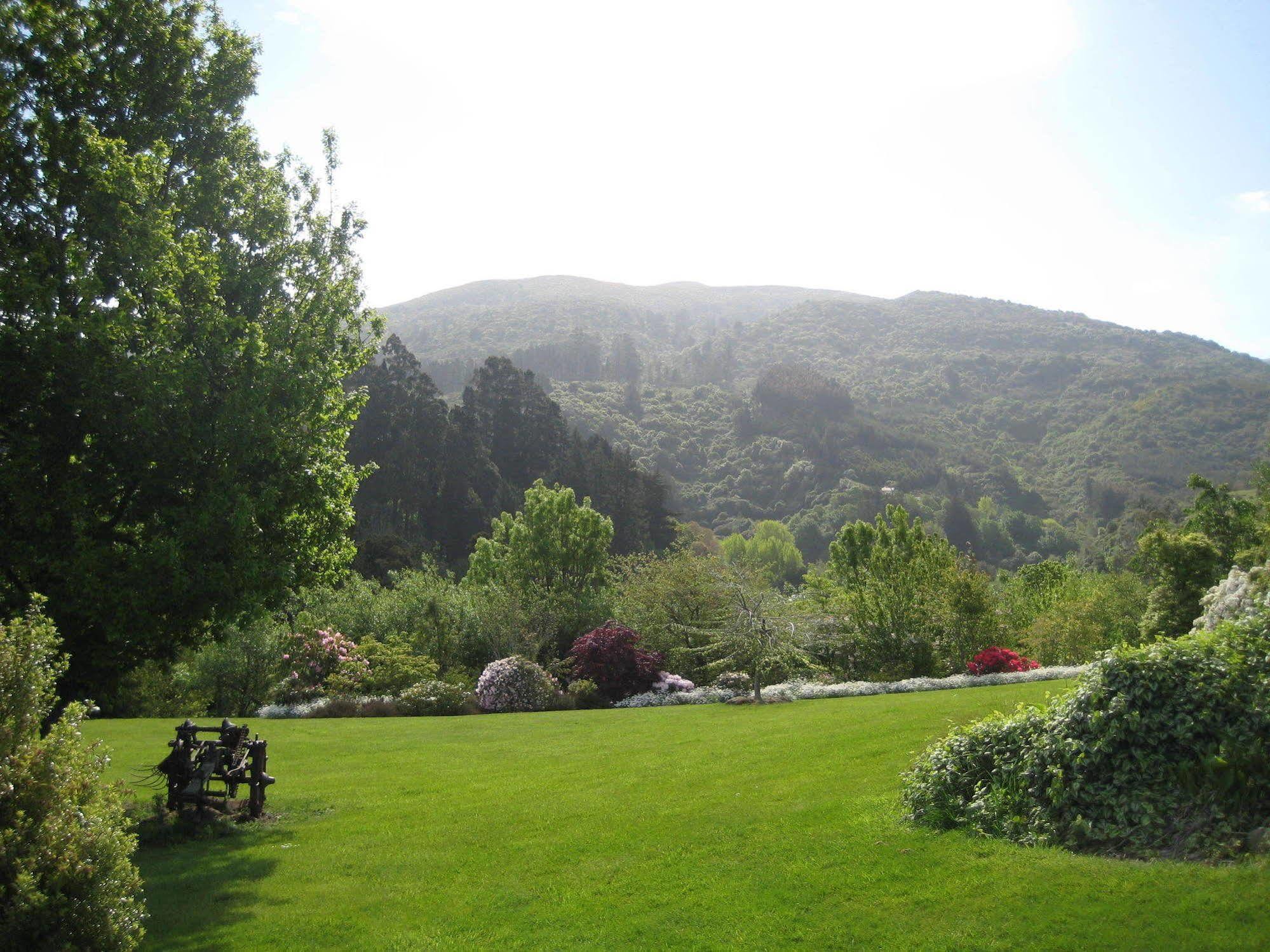 Leithview B And B Bed & Breakfast Dunedin Exterior photo